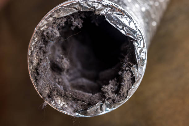Best Affordable Air Duct Cleaning  in Blountstown, FL